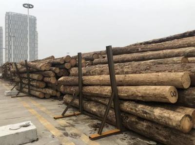 武汉阳逻港木材保税加工项目正式投产运营